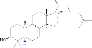 Synthesis of steroid hormones occurs where
